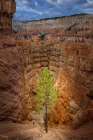 Bryce Canyon, Bryce Canyon National Park, Utah Art Print
